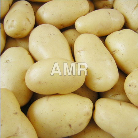 Potato - Off-White, Oval Shape, Variable Size | Fresh, Nutritious, Worm-Free, Rot-Free, Good Condition