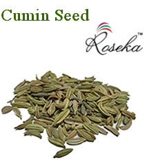 Cumin Seed Oleoresin10% VOC