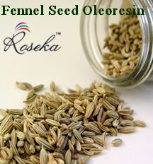 Fennel Seed Oleoresin 5% VOC