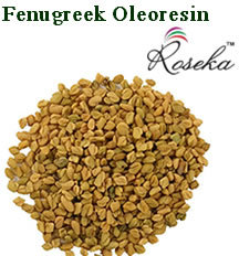 Fenugreek Oleoresin