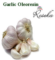 Garlic Oleoresin