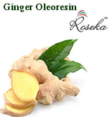 Ginger Oleoresin 30% VOC