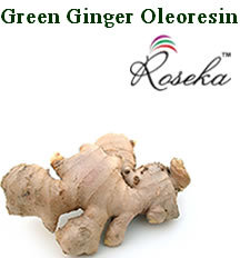 Green Ginger Oleoresin
