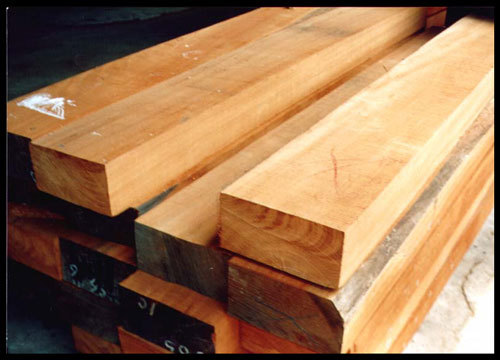 Kapur wood