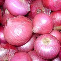 Red Onion
