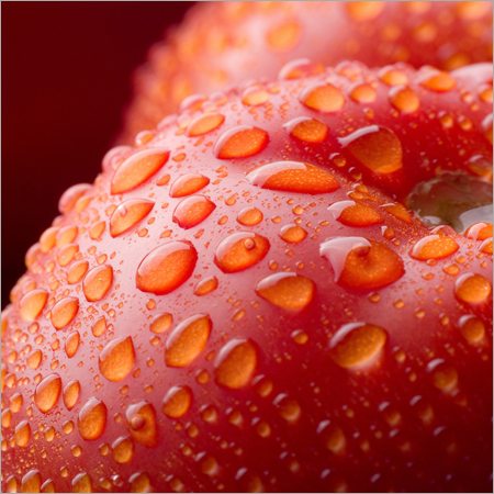 Fresh Tomato