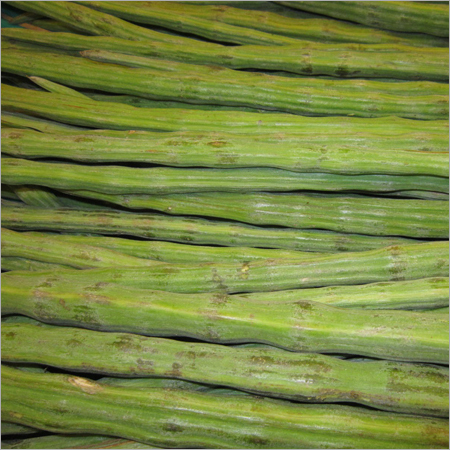 Fresh Drumstick Vegetable