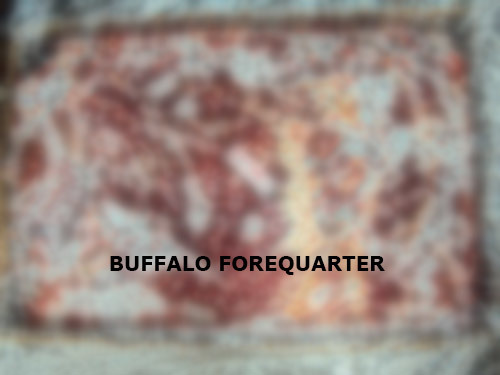 Buffalo Forequarter