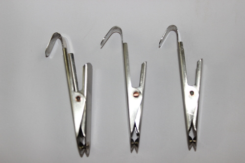 DENTAL X RAY CLIP