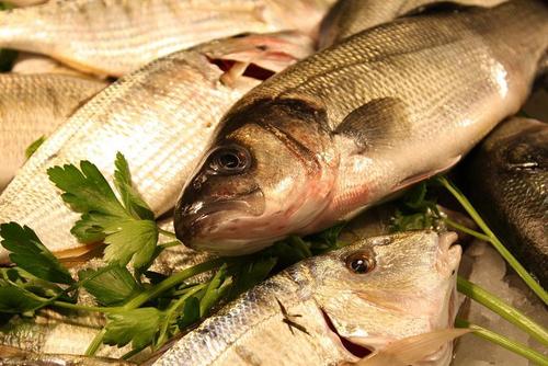 Aquaculture Products