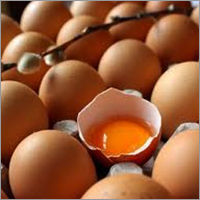 Egg Products