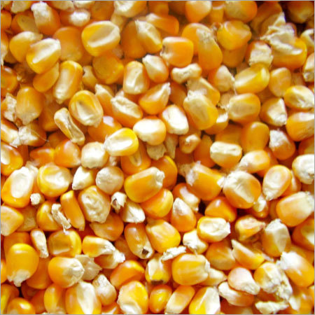 Agro Products & Commodities