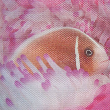 Inkjet printing canvas