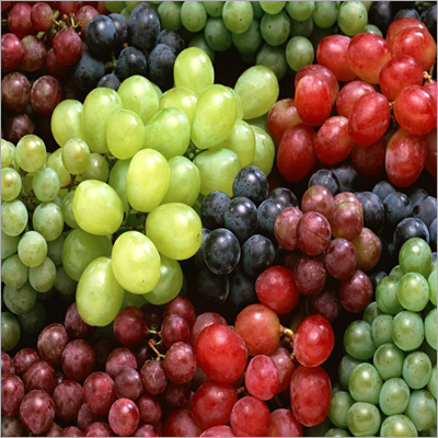 Fresh Grapes