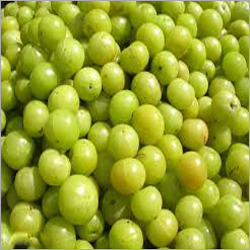 Gooseberry Fruit