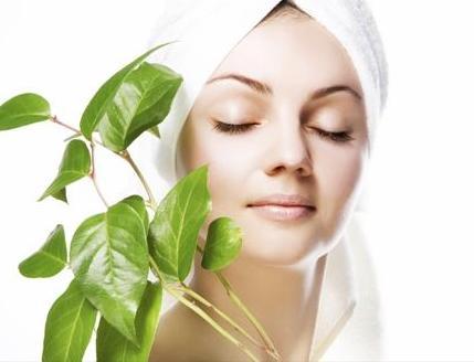 Skin Care Spa
