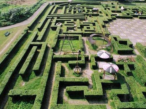 Landscape Project By SUPERMODE GARDENING