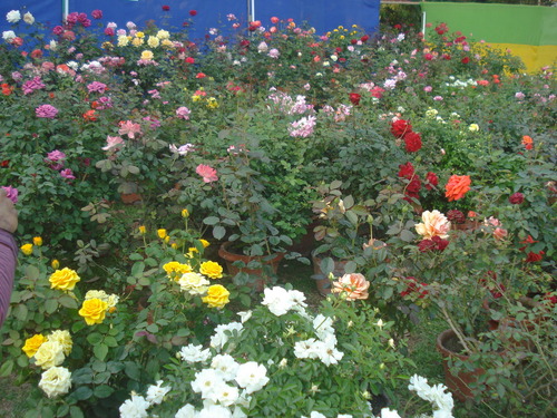 Agri Horticulture Project