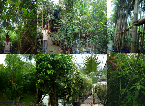 Agri Horticulture Project