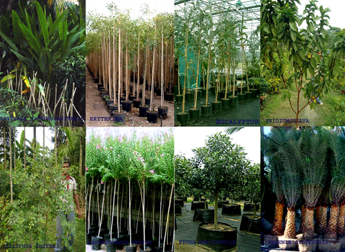 Agri Horticulture Project