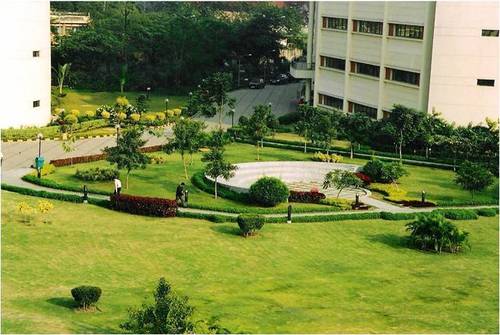 Landscape Development