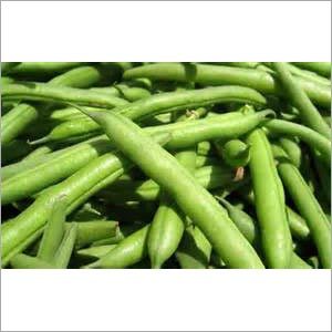Fresh Beans