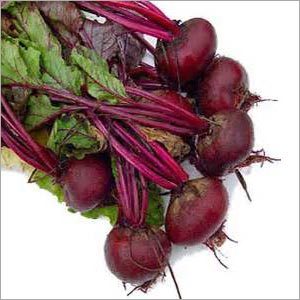 Fresh Beetroot