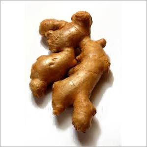 Fresh Ginger Roots