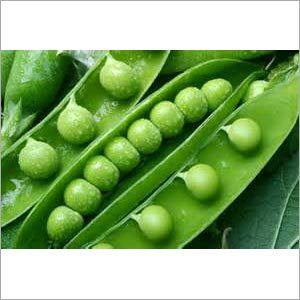 Fresh Green Peas