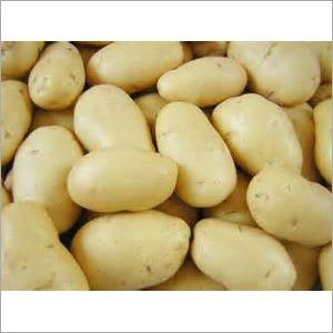 Fresh Potatoes