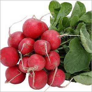 Fresh Radish