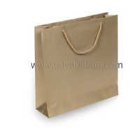 Golden Paper Gift Bag