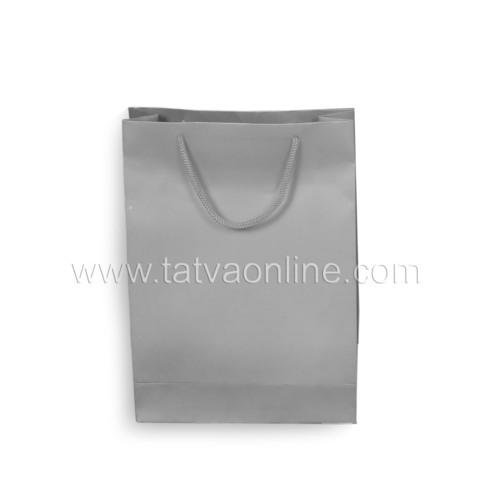 Silver Paper Bag with Handles