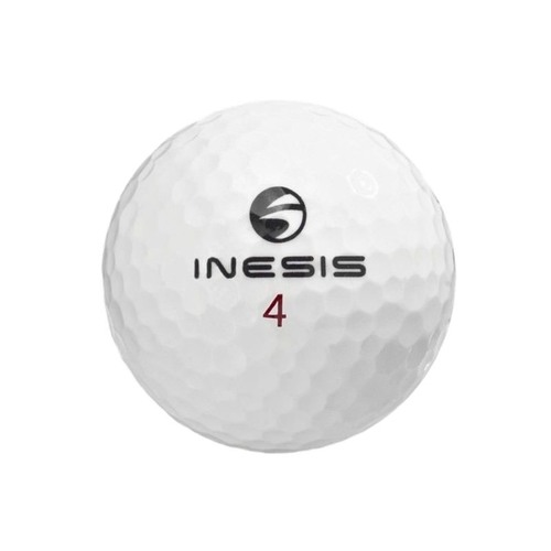 inesis1