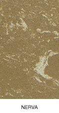 VENATA NERVA