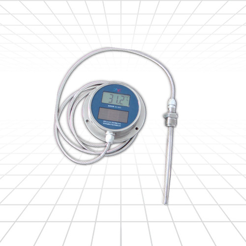 Digital Thermometer