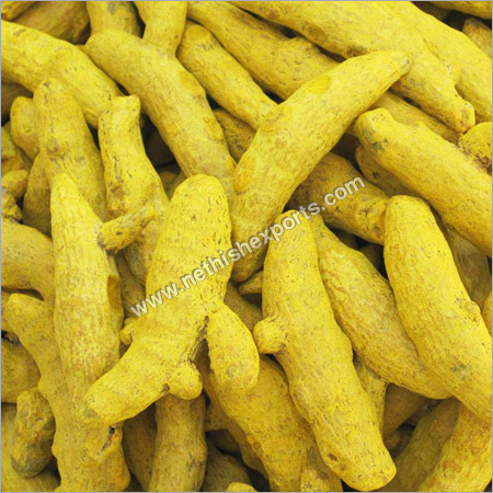 Salem Bold Turmeric Finger