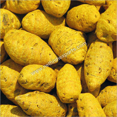 Salem Turmeric Bulb
