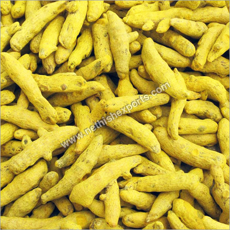 Mini Salem Yellow Turmeric Finger