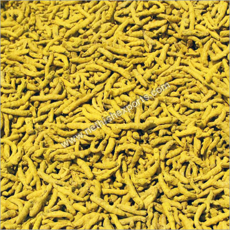 Erode Yellow Turmeric Finger