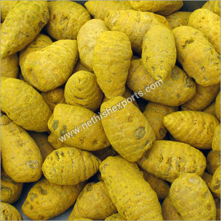 Salem Premium Turmeric Bulbs