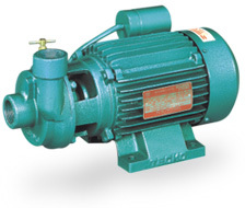 Domestic Monoblock Pump