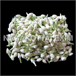 Fresh Jasmine Flower