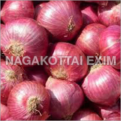 Onion