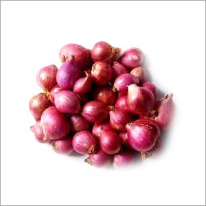 Small Onion