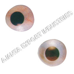 Artificial Eye Usage: For Hospital