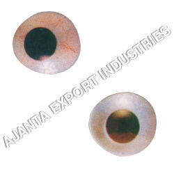 Artificial Eye