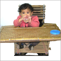 Bamboo Furniture