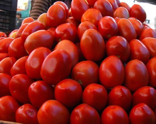 tomato