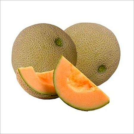 Fresh Muskmelon